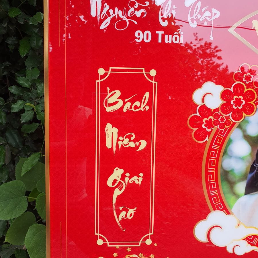 Vế đối bách niên giai lão trên tranh