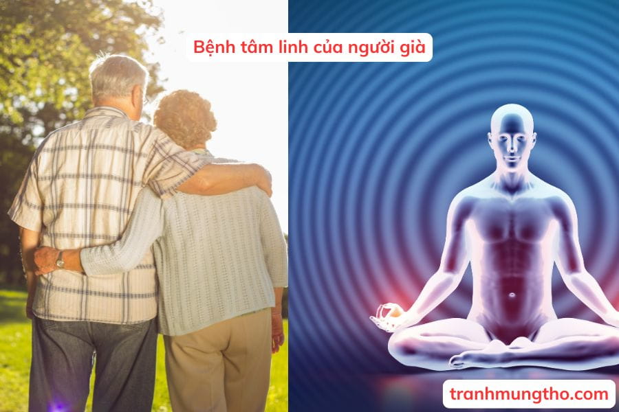 Bệnh t&acirc;m linh của người gi&agrave;