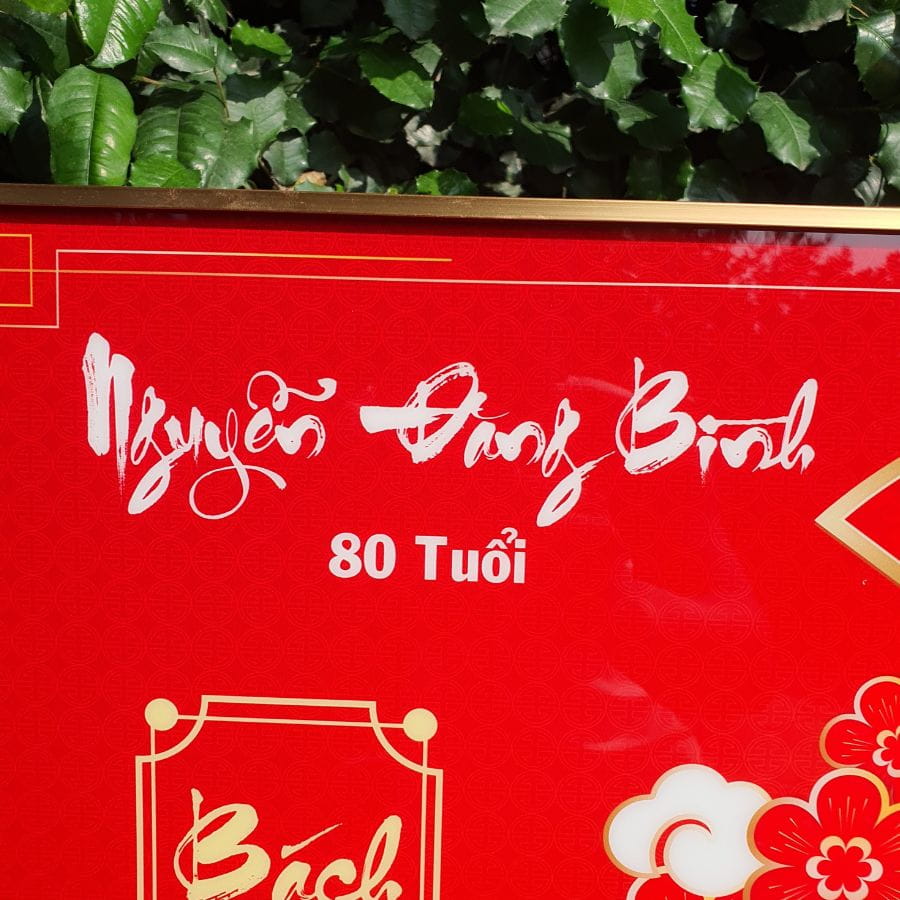 Nội dung thông tin của người được chúc thọ trên tranh