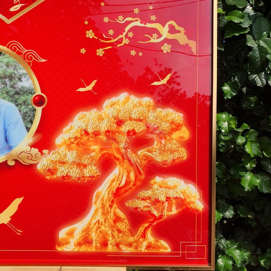 Hình ảnh cây tùng vàng trên mẫu tranh mừng thọ M4